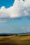 Free Landscape,Tuscany Val D Orcia Royalty Free Stock Photos - 3455288