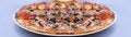 Free Gourmet Italian Pizza Stock Photography - 3466272