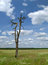 Free Meadow, Tree And Clouded Sky 2 Stock Photos - 3464323