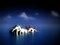 Free Loch Ness 4 Stock Images - 3474464