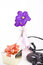 Free Composition With Flowers. Stock Images - 3481794