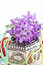 Free Composition With Flowers. Stock Photography - 3481812