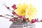 Free Composition With Flowers. Royalty Free Stock Photos - 3481818