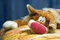 Free Big Tabby Red-haired Cat - Toy Stock Photo - 3485260