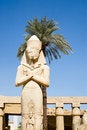 Free Ramses Royalty Free Stock Photo - 3499765