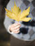 Free Man Holding Leaf Stock Photography - 3498852