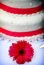 Free White Wedding Cake With Pink Trim Stock Photography - 353162