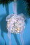 Free Hanging Ornament Stock Image - 356751