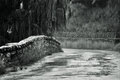 Free Rainy Bridge Royalty Free Stock Photography - 3503547