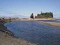 Free Ruby Beach Stock Photography - 3505822