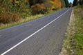 Free Country Road Royalty Free Stock Images - 3516279