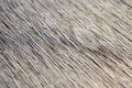 Free Wooden Background - Shallow Depth Of Field Royalty Free Stock Photo - 3518065