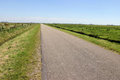 Free Endless Road Stock Photo - 3520910