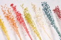 Free Dry Flower Stock Images - 3526974
