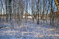 Free First Day Of Winter Royalty Free Stock Image - 3527776