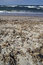 Free Fire Wood On The Beach Stock Image - 3526161