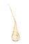 Free Parsnip Stock Photo - 3527240