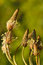 Free Spring Concept Stock Photography - 3529462