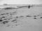 Free Henley Beach Jetty 1 Royalty Free Stock Image - 3548436