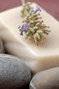Free Lavender Royalty Free Stock Image - 3551636