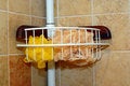 Free Shower Caddy Stock Photography - 3559512