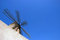 Free Wind Mill Stock Photography - 3555422