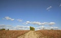 Free Rural Road Royalty Free Stock Photography - 3567607
