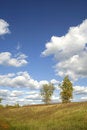 Free Tree In The Farm Stock Photos - 3578953
