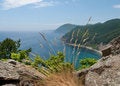 Free Sea And Taiga 4 Royalty Free Stock Photo - 3581245