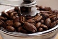 Free Grow Coffee Stock Image - 3588001