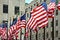 Free A Row Of American Flags Stock Photo - 3580490