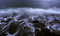 Free Sea Surf Royalty Free Stock Images - 3589159