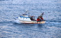 Free Trawl-net Royalty Free Stock Photography - 3593697
