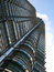 Free Skyscraper In Downtown Royalty Free Stock Images - 3595149