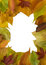 Free Colourful Autumn Leaf Frame Stock Photography - 3598982