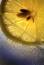 Free Lemon Slices Stock Photo - 367500