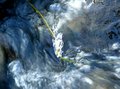 Free Ice Water Blur Stock Photos - 3600253