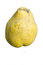Free Quince Stock Images - 3609344