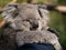 Free Affection Stock Images - 3609964