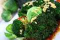 Free Lightly Cooked Broccoli Pieces With A Touch Of But Stock Photos - 3617113