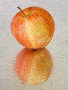 Free Red Wet Apple With Reflections Royalty Free Stock Photos - 3621178