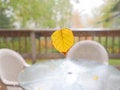 Free Good Bye Summer! Stock Photography - 3626002