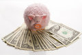 Free Banknote Royalty Free Stock Image - 3639446