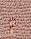 Free Hands Up 4 Stock Image - 3642641