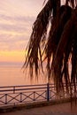 Free Romantic Sunset Royalty Free Stock Photography - 3647877