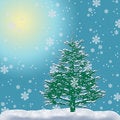 Free Fur-tree In A Snow Stock Photos - 3648773