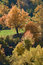 Free Fall/autumn: The Season Of Colors Stock Images - 3644424