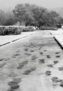 Free Footpath, Snowfall & Traces Stock Images - 3652814