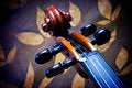 Free Violin Details Royalty Free Stock Photo - 3655555