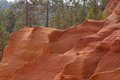 Free Red Rock And Pine Wood Royalty Free Stock Photo - 3656075